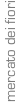 shapeimage_9_link_0