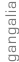 shapeimage_12_link_0