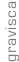 shapeimage_34_link_0
